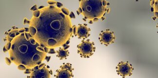 Centaurus, la nueva variante de Covid cinco veces más contagiosa que la ómicron: OMS