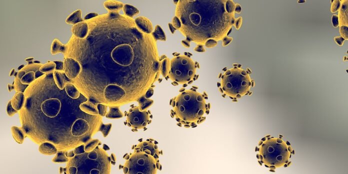 60FE2A8E-CE82-4A72-8999-4ADF4C62E893