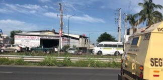 Denuncian maltrato contra perro que murió arrastrado por una camioneta de Cometra