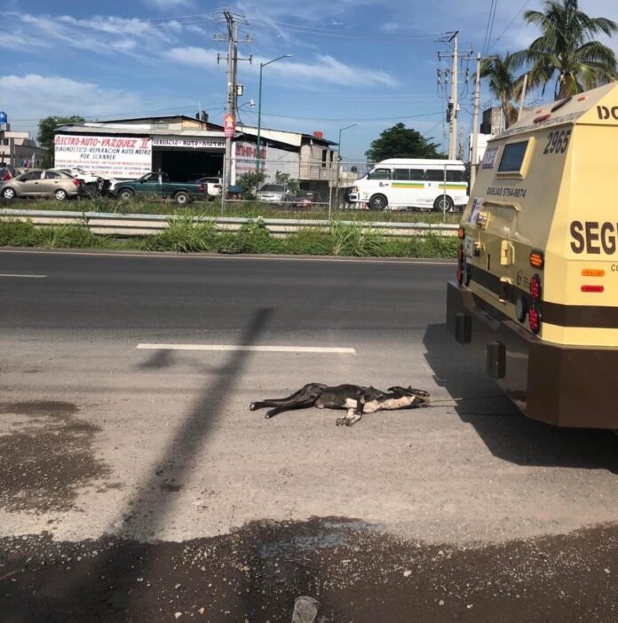 665CE0EB-6992-4747-8965-16DC4FC087A8