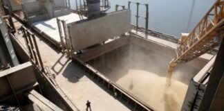 Ucrania logró sacar 16 barcos cargados de cereales a pesar del bloqueo ruso