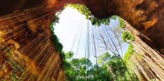 Turismo extranjero dejó una derrama de más de 10 mil 777 millones de dólares de enero a mayo