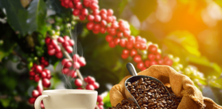 Julio, un mes bueno para el café