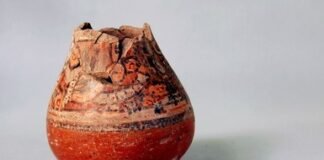 Exhibirán al público 41 mil bienes arqueológicos perteneciente a un particular en Sinaloa