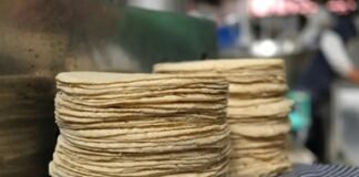 En agosto, aumentó del costo de producción de la tortilla