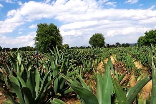 F9D6339C-C9AE-4707-A474-D5C8C75F26F1