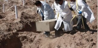 Localizan 22 cuerpos en fosas clandestinas de Michoacán