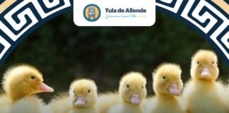 En apoyo a la economía familiar el ayuntamiento de Tula ofrece diversos productos a bajo costo