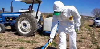 Exigen pruebas ante uso de Glifosato por supuesto daño a la salud; CONACYT miente