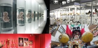 Museos curiosos para visitar en la Ciudad de México