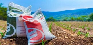 Inicia entrega de fertilizante gratuito a productores de Chiapas y Oaxaca