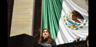 Proponen incorporar en la Ley de Migración la Visa de Visitante Trabajador Remoto