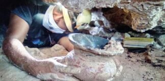 Hallan tesoro maya en cueva de Playa del Carmen