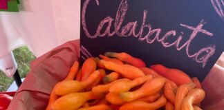 Productores agrícolas apuestan por lo orgánico