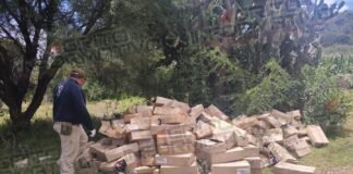 Localizan en Tezontepec de Aldama decenas de medicamentos tirados en terreno baldío