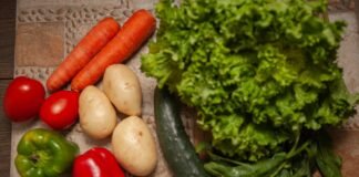 Alerta especialista del IPN sobre el peligro por el alto consumo de comida rápida