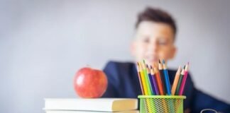 ¿Cuáles son los nuevos criterios de selección para elegir planes educativos para los niños?