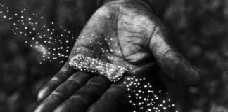 Gana el mexicano Yael Martínez el World Press Photo 2022 documentando el cultivo de opio en Guerrero