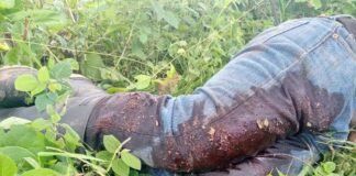 Un mexicano implicado en tiroteo contra el presidente guatemalteco Giammattei