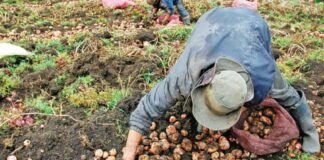 Incertidumbre al interior de la CNC por equilibrio electoral para el 2023