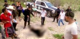 Torturan y ahorcan a un osito en Coahuila