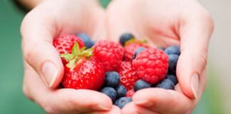 Productores de berries en México son generadores de empleo y divisas: SADER