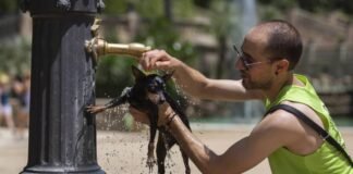 Enfrentan Francia y España tercera ola de calor