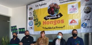 Mineral del Chico realiza primer evento en honor a los hongos