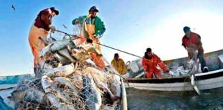 Inicia entrega nacional de tarjetas del programa Bienpesca 2022, en 11 estados