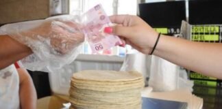 Advierten industriales de la tortilla que aumento en precio continuará