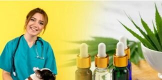 ¿Es posible el uso veterinario del cannabis medicinal?