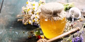 México es el noveno país productor de miel y décimo como exportador mundial