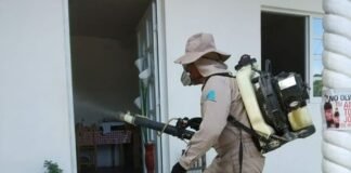 Emprenden acciones para evitar transmisión de Dengue, Chikungunya y Zika