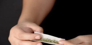 Legalización de la marihuana podría conducir a un aumento en el consumo de cigarrillo