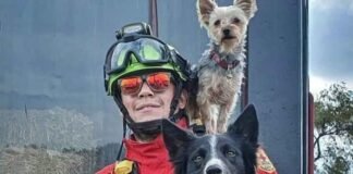 Comenzó 1er juicio por maltrato animal contra perritos rescatistas envenenados en Querétaro