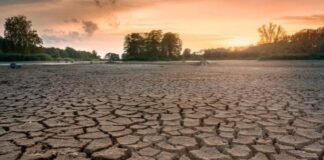 Agosto de 2022, el mes más seco en Inglaterra desde 1935