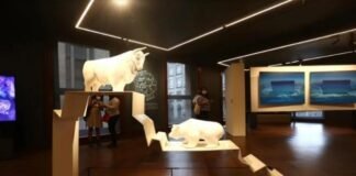Museo Banco de México presenta exposición “Mercados desde el arte contemporáneo”