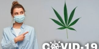 ¿Podría la cannabis reducir la gravedad de la Covid-19?, Esto dicen los especialistas