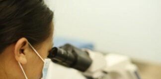 Nanotecnología se vuelve aliada contra las úlceras de presión en adultos mayores