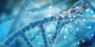 Síndrome de Turner ¿Cómo se manifiesta y a quiénes afecta más?