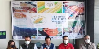 Elote, protagonista del festival en Mineral del Chico
