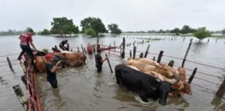 Primero padecen extrema sequía, ahora les llueve demás en Coahuila, Chihuahua y Nuevo León