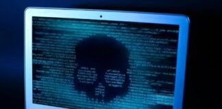 Casi el 7% de las mexicanas han sido víctima de violencia digital: ENDIREH