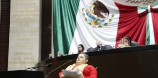 Consultarán a personas con discapacidad para elaborar leyes sobre sus derechos humanos