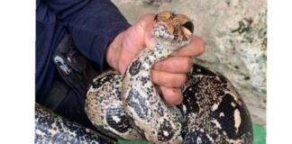 Sale Boa a disfrutar de las aguas termales en Tolantongo, Hgo.