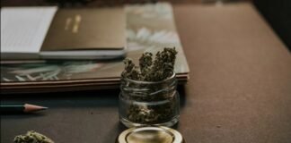 Legalización del cannabis reduce el valor bursátil de las principales farmacéuticas