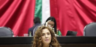 Plantea la diputada Campuzano González reformas a la Ley General de Salud