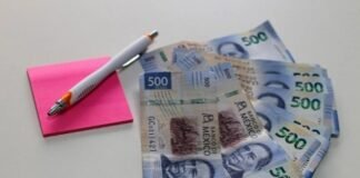 Tiempo y tasas de interés: mejores aliados para blindar el dinero de los mexicanos