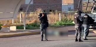 Narco sembró nuevamente terror en Zacatecas; localizan ocho muertos en una carretera