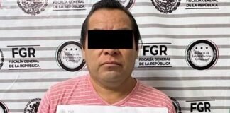 Aseguran a una persona en posesión de 300 huevos de tortuga